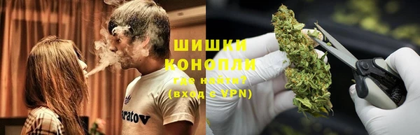 стаф Вязьма