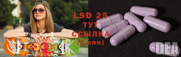 стаф Вязьма