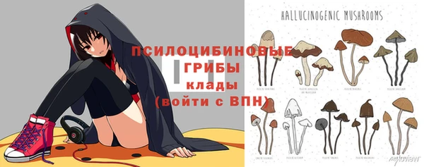 стаф Вязьма