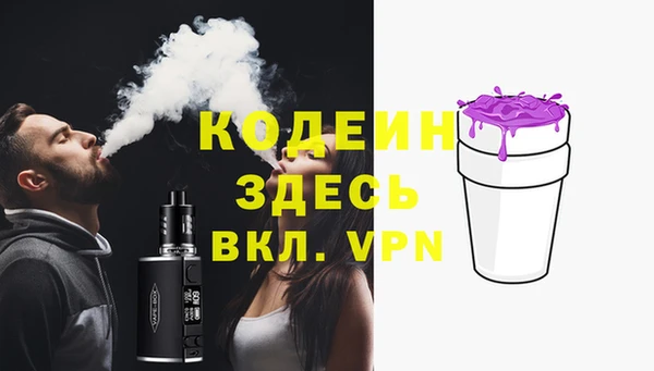 стаф Вязьма