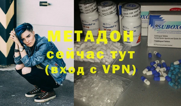стаф Вязьма