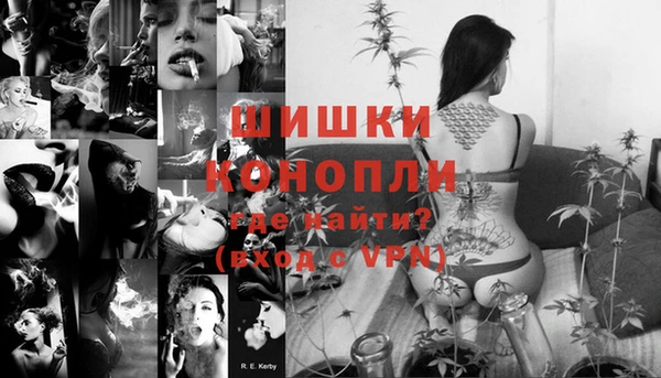 PSILOCYBIN Вяземский