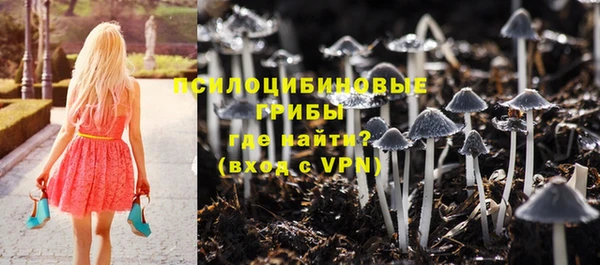твердый Вязники