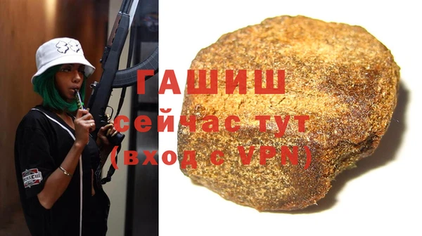 PSILOCYBIN Вяземский