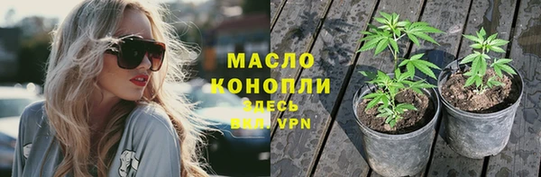 крисы Верхний Тагил