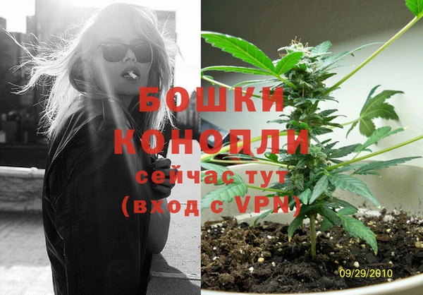 стаф Вязьма