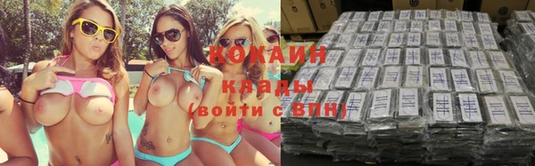 стаф Вязьма
