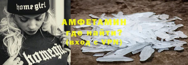 PSILOCYBIN Вяземский