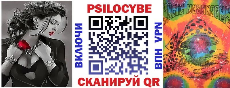 Псилоцибиновые грибы Psilocybine cubensis  магазин    Инза 